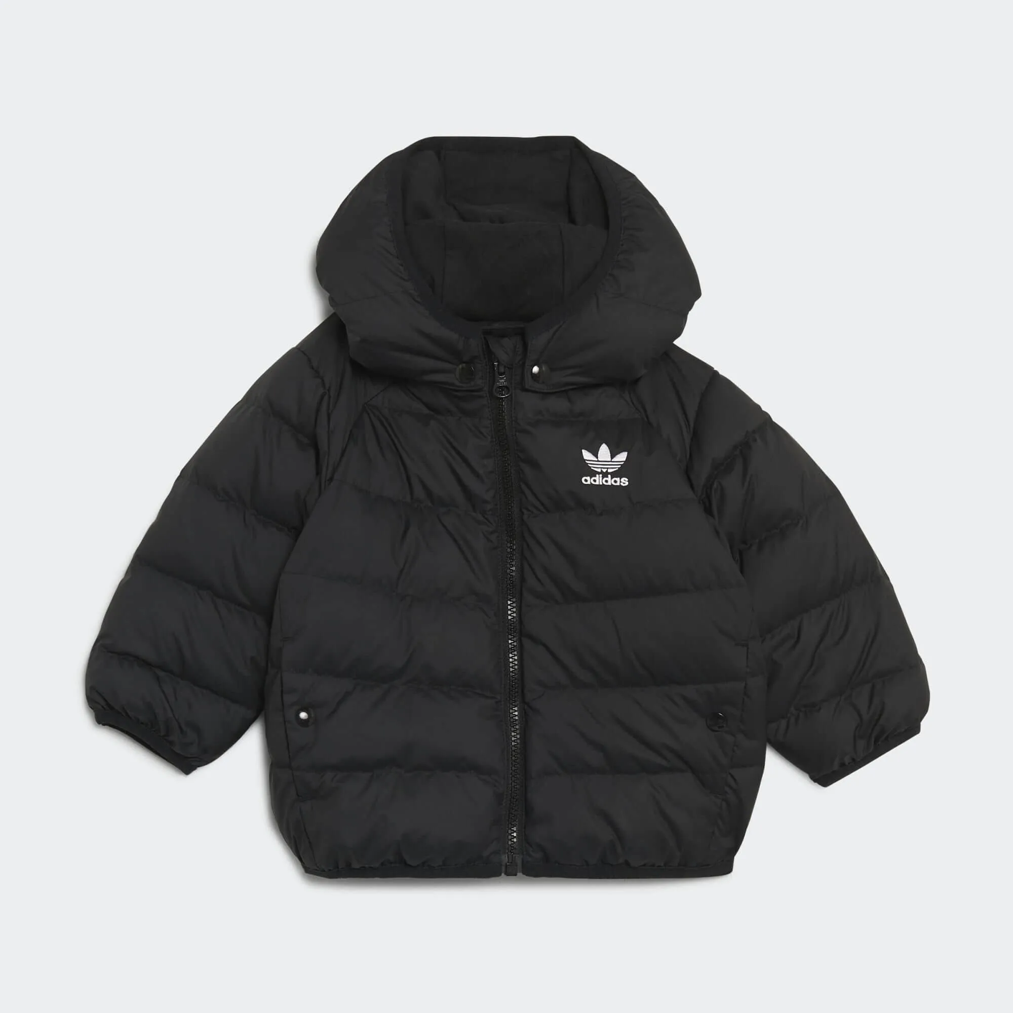 ADIDAS ORIGINALS Adicolor Down Jacket