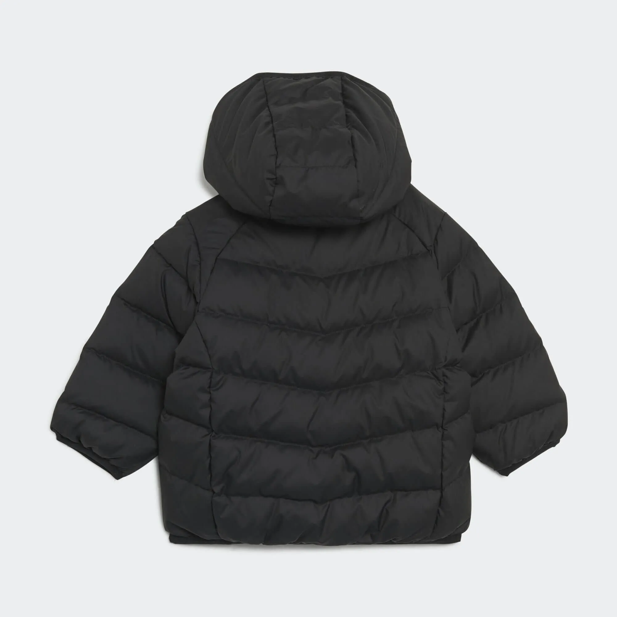 ADIDAS ORIGINALS Adicolor Down Jacket